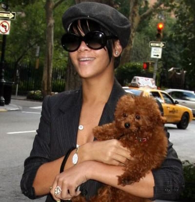 Rihanna with Oliver - Celebrity Puppies! - Puppy Review